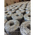 Single and double strand hot-dip galvanized barbed wire Low wall barbed wire Prison anti-climbing fence barbed wire